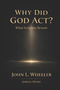 Why Did God Act?