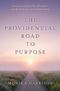 Bokomslag for "The Providential Road to Purpose"