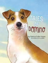 Tales of Domino