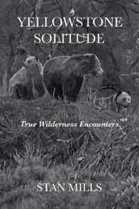 Yellowstone Solitude