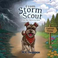 From Storm to Scout