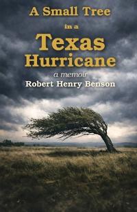 A Small Tree in a Texas Hurricane