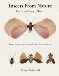 Insects From Nature