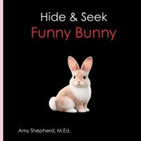 Hide & Seek Funny Bunny