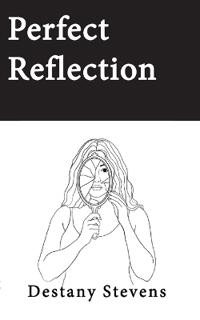 Perfect Reflection