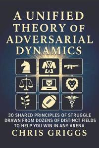 A Unified Theory of Adversarial Dynamics