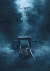 Echoes in The Darkness