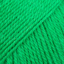parrot green