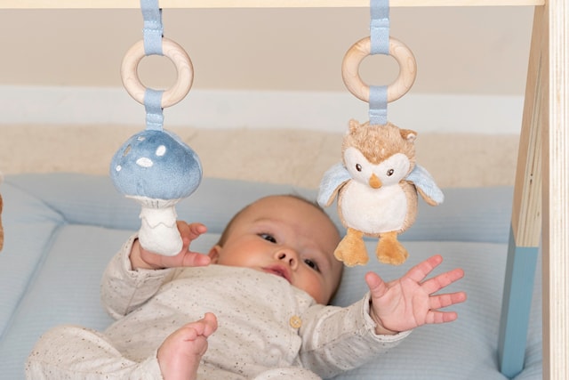 Produktbild 5 för Forest Friends Babygym Little Dutch