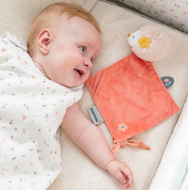 Produktbilde 2 for Snuttefilt Igelkott Zoe Mini Nattou