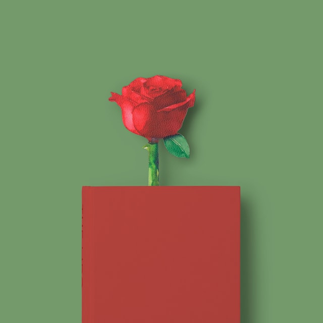 Produktbild 2 för Bokmärke Blomma Painted Rose Catwalk