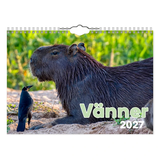 Väggkalender Vänner 2027 Gullers