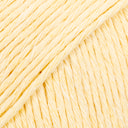 Vanilla Vanilla