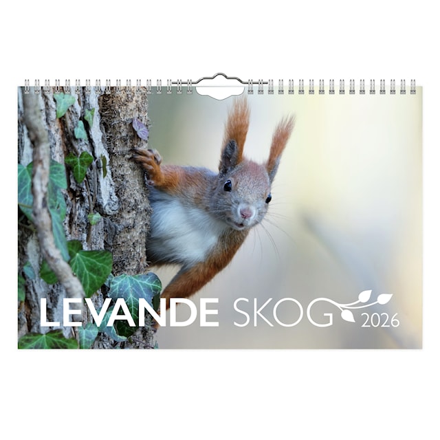 Produktbild 1 för Väggkalender Levande Skog 2026
