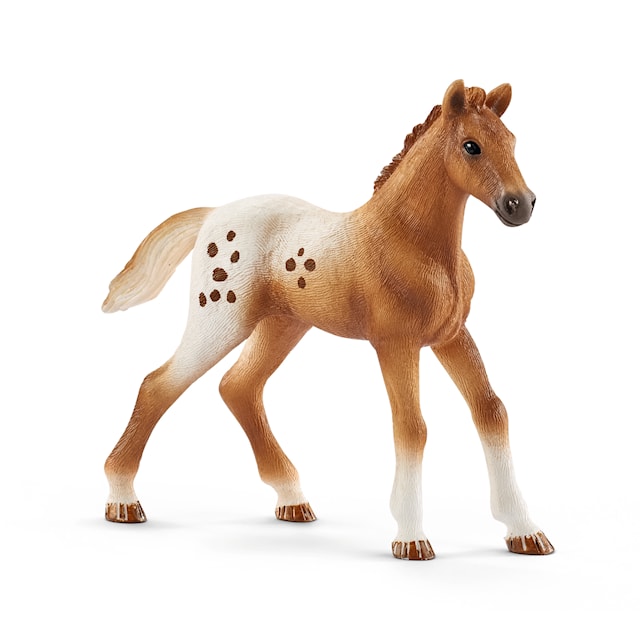 Produktbild 3 för Schleich Horse Club Appaloosa och Tävlingsset