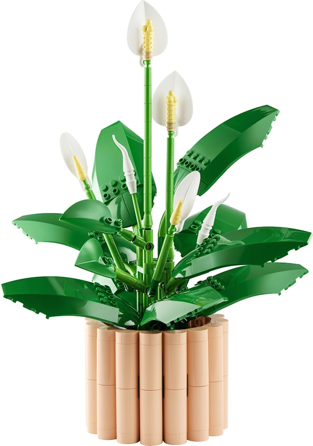 Produktbilde 2 for Fredslilje LEGO® Botanicals (11504)