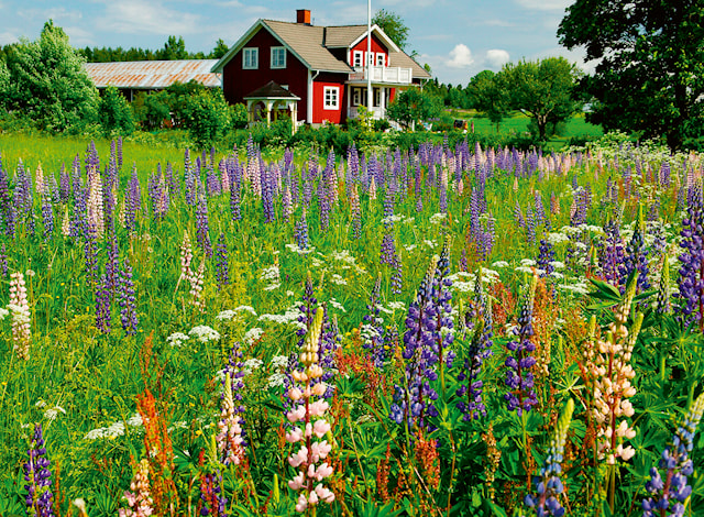 Tuotekuva 2 - Palapelit Farm In Sweden 500 palaa, Ravensburger