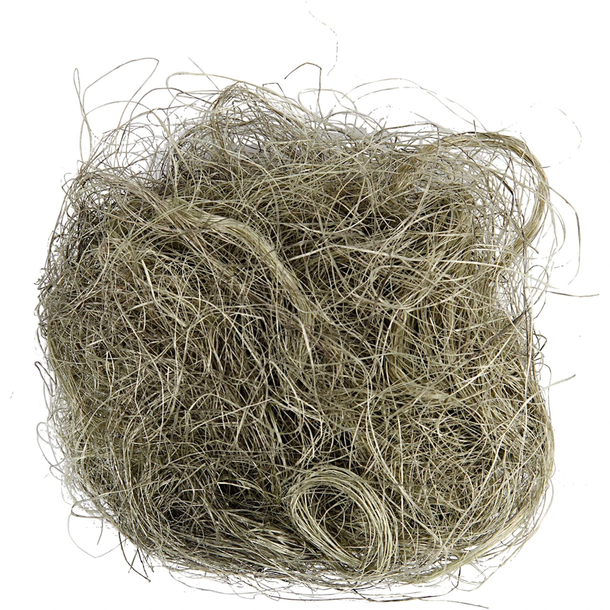 Produktbild för Sisal Dusty Grön 8 g