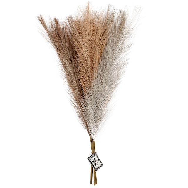 Produktbilde 2 for Pampas gress, L: 50 cm, lys pulver, lys brun, lys grå, 3 stk./ 1 bunt