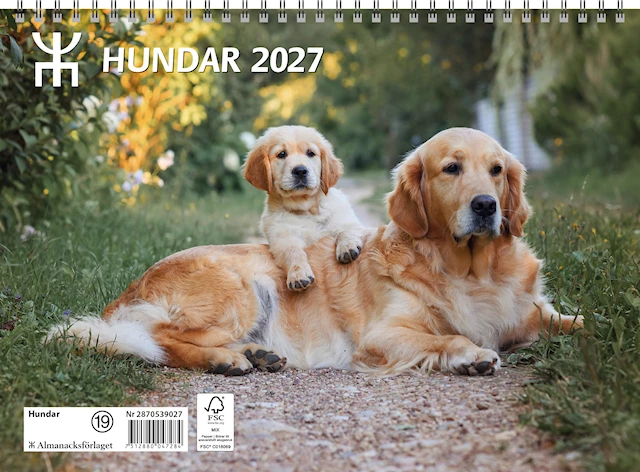 Väggkalender Hundar 2027 Almanacksförlaget