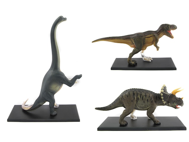 Produktbilde 2 for Dyreanatomi Dinosaur T-Rex 4D Master