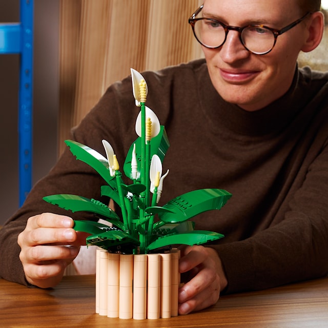 Produktbild 3 för Fredslilja LEGO Botanicals (11504)