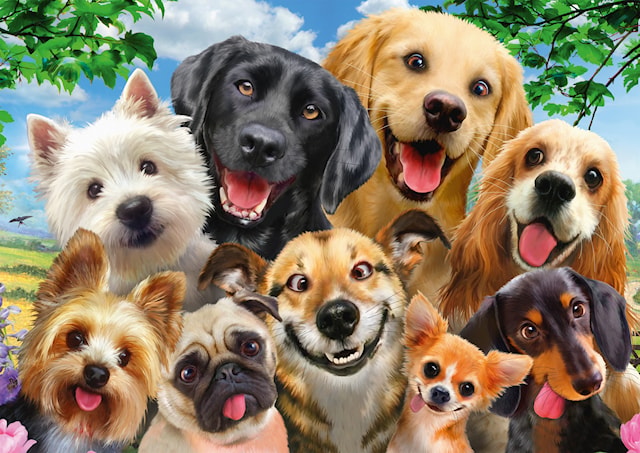 Produktbild 2 för Dog Selfie Pussel 500 bitar Schmidt