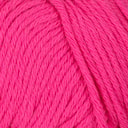 Rosa Rosa