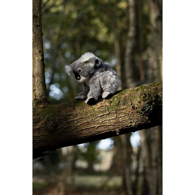 Produktbilde 3 for World Of Nature Kosedyr Koala og Baby Kosedyr Animigos