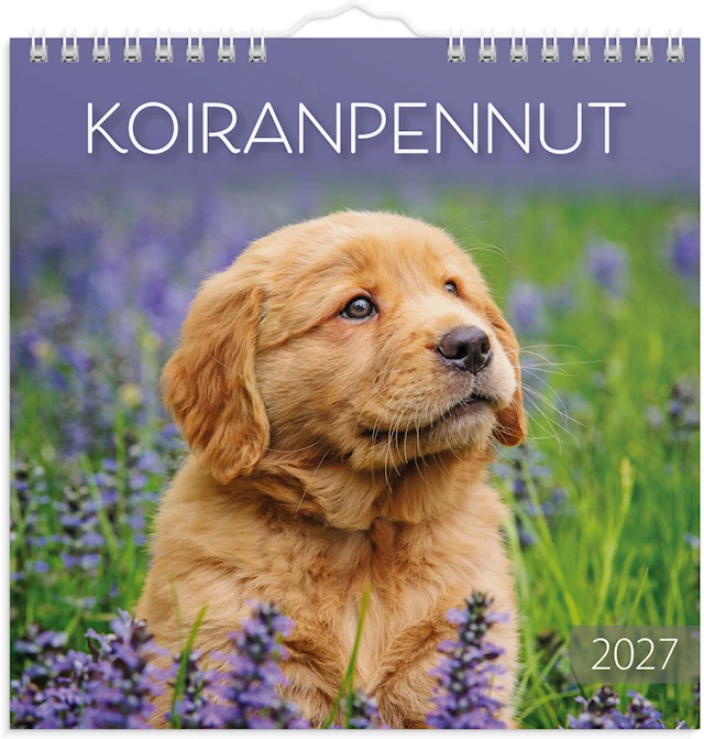Seinäkalenteri 2027 Kissanpennut Burde