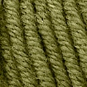 Alga/Albera