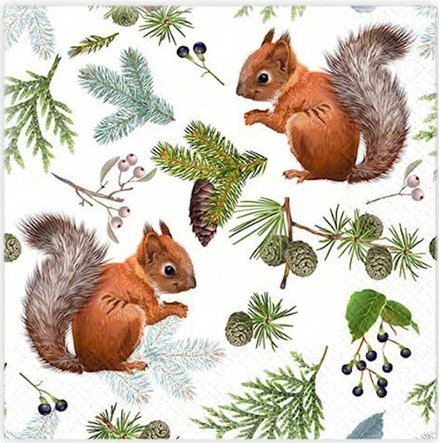 Ruokalaput Orava 20-pack Gullers
