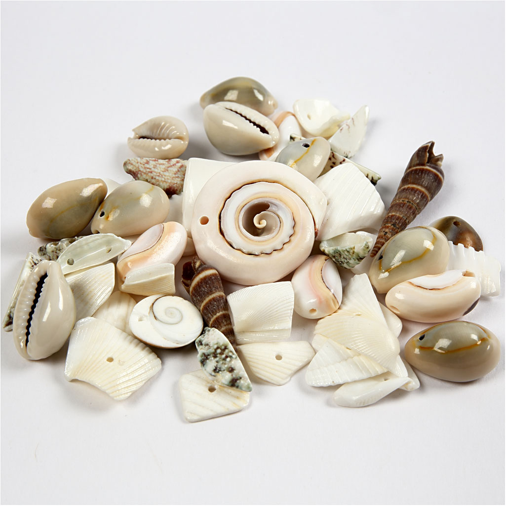 Strandsnäckor 9-40 mm Mix 120 g