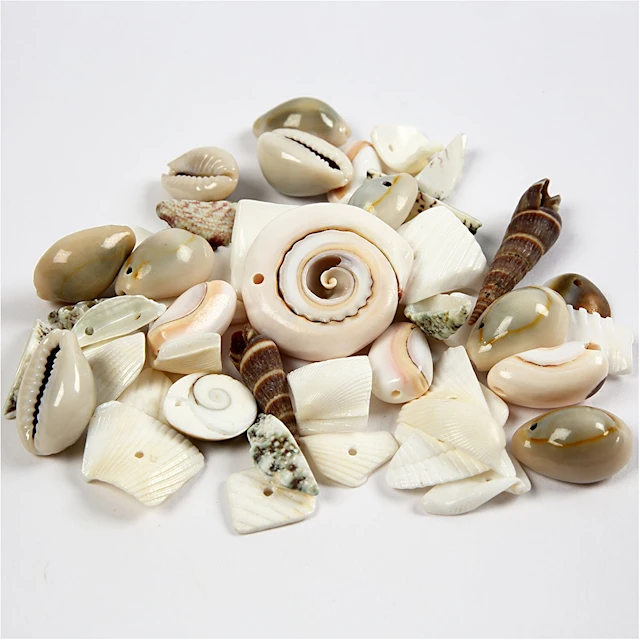 Strandsnäckor 9-40 mm Mix 120 g
