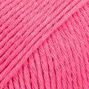 Pink Flamingo Pink Flamingo