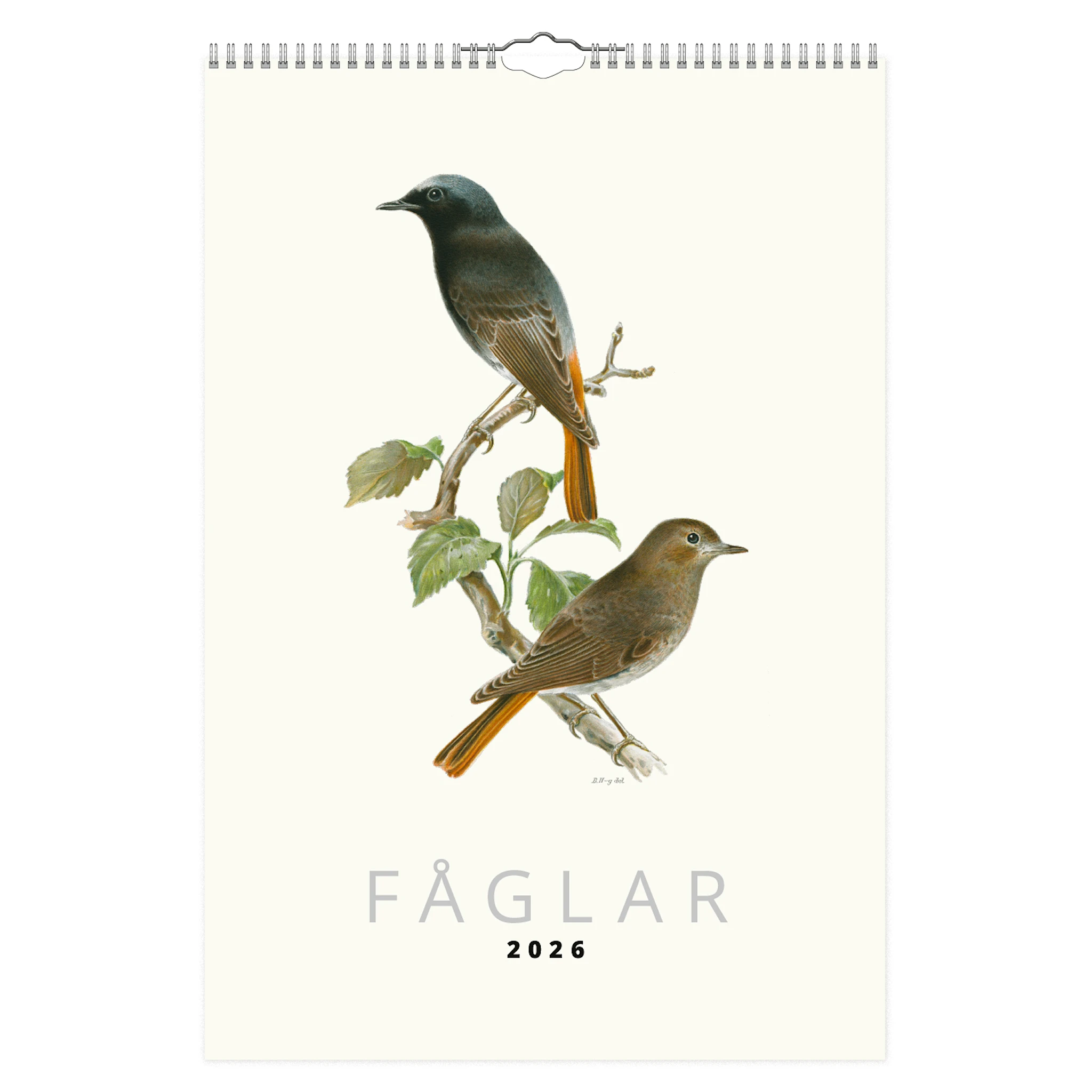 Produktbild för Väggkalender Fåglar 2026