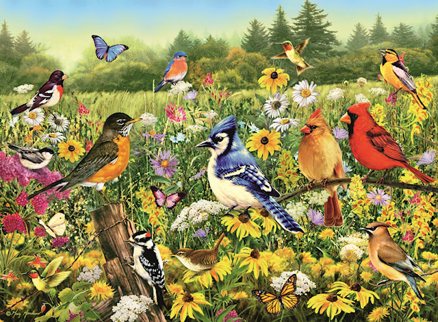 Tuotekuva 2 - Birds in the Meadow Palapelit 500 palaa, Ravensburger