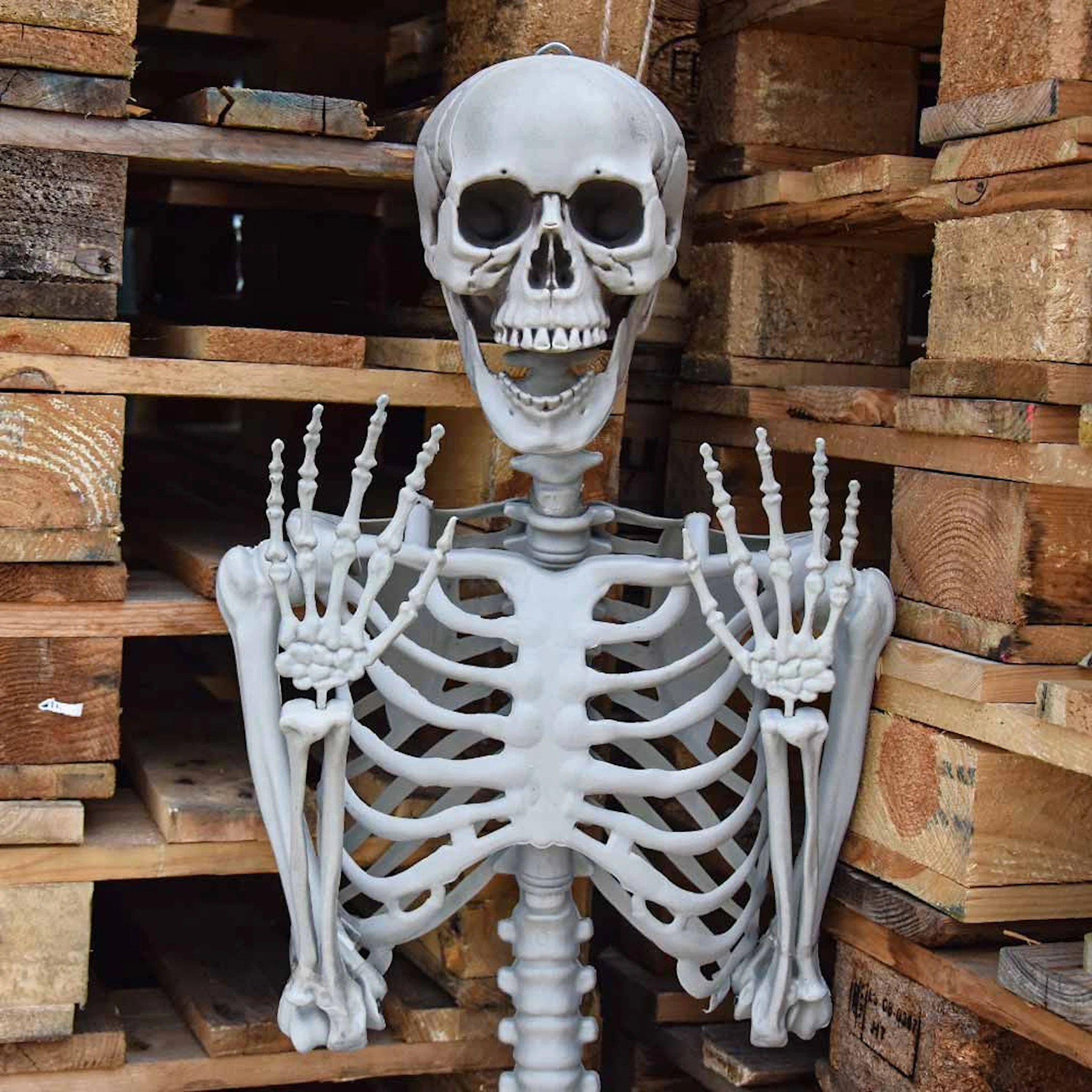 Produktbild för Human-size Skeleton  1.70m
