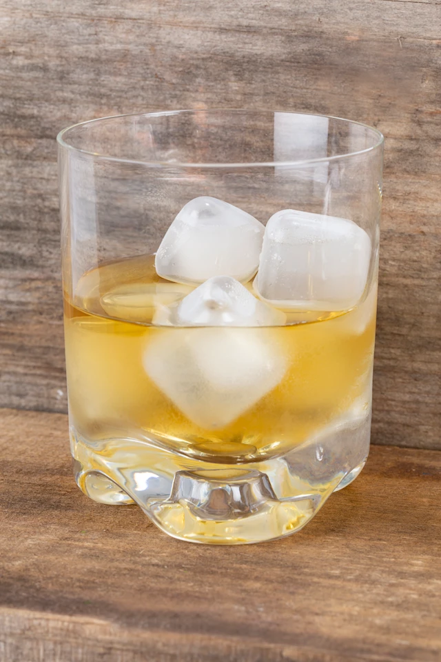 Clear Reusable Ice Cubes Kikkerland