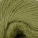 Olive Green Olive Green